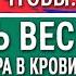Лео Бокерия Забудьте о Болезнях Какие Привычки Влияют на Долголетие и Качество Жизни Часть 1