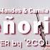 Señorita Shawn Mendes Camila Cabello 2COLOR Remake Cover Classic Ver Violin Flute Duet