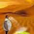 The Human Body Transports Water Greening The Desert Is Funny Special Effects Desert Greening