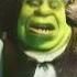 Shrek What Are You Doing In My Swamp Remix