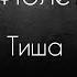 Фіолет Тиша текст пісні Українська музика українськамузика рекомендации музика