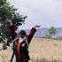 Pubgmobile Pubg танец победы