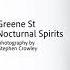 Greene St Nocturnal Spirits