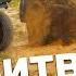 АДРЕНАЛИНОВЫЙ OFF ROAD в КАРЬЕРЕ БИТВА AUDI JEEP TOYOTA SUBARU SUZUKI NISSAN НИВА УАЗ OPEL