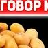 Никто Не Ожидал СОЯ Против Мяса Польза и Вред СОИ и Соевых продуктов Противопоказания