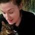 Funny Pets Foryou Funny Cat Pets Lxh
