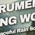 INSTRUMENTAL WORSHIP SOAKING MUSIC 1 HOUR Early Rains