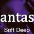 Soft Deep Fantasy Original Mix