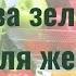 Польза зеленого чая для женщин и о нетрадиционных методах применения зеленого чая