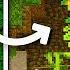 How To Find Lush Caves In Minecraft 1 18 Fast