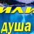 Фактор Алладина или что ваша душа пожелает Исполнение желаний