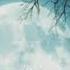 Alan Walker Alone With Lyrics