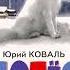 Юрий Коваль Недопёсок Аудиокнига