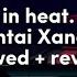 Hentai Xander In Heat Slowed Reverb