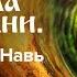 Ведическая школа Русколани Экспедиция в Навь Евгений Роденко и Светлана Алафинова Часть 1