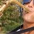 Because Of You Ne Yo Sax Cover Joel Ferreira Sax