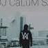 Alan Walker Faded DJ CaLuM SA ReMiX