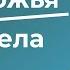 Паралич воли и воля Божья Священник Федор Бородин