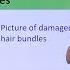 Hair Cell Classroom Demonstration Loud Sounds Can Damage Hair Cells