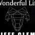 BLACK Wonderful Life Jeff Clem 2021 Remix