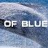 Sound Of Blue Whale