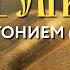 Толкование Евангелия с митр Антонием Паканичем Среда 13 ноября 2024 года