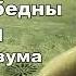 Почему вы глупы больны и бедны Рэнди Пол Гейдж Аудио книга которая изменит Вас к лучшему