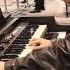 NAMM 2019 Hammond Porta B Vs 1965 Hammond B3 Organ