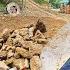 She Picked Up Stones To Level The House S Floor And Washed The Fish Tank Building A New House