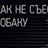 Дмитрий Кот Копирайтинг как не съесть собаку Создаем тексты которые продают Аудиокнига