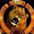 Metro Goldwyn Mayer Starz Animation Vanguard 2008 For LMSAlternative