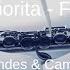 Shawn Mendes Camila Cabello Señorita Flute Sheet Music