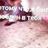 дени и ночи я скучаю караоке