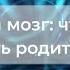 С В Савельев Детский мозг Что нужно знать родителям часть 2