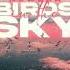 New Era Birds In The Sky Lee Keenan S Tiktok Remix