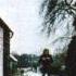 David Gilmour Cry From The Street