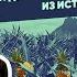 Россия родина ананасов и др ответы на необычные вопросы из истории XVIII XX вв
