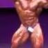 Pablo Ayala IFBB Pro Bodybuilder 2013 New York Pro Bodybuilding Championship