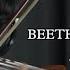 Beethoven Virus By BanYa Violin Cover By Raphael Espada