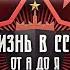 Жизнь В СССР За Витриной Универмага Серия 5 Документальный Фильм