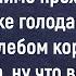 Как Муж Сказал Что Между Ним С Женой Нет Искры Сборник Весёлых Анекдотов Юмор Позитив