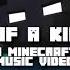 Minecraft Song 1 Of A Kind A Original Music Video