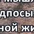 Верное мышление предпосылка верной жизни А П Дерксен Проповедь МСЦ ЕХБ