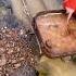 Goldprospecting Goldmining Goldpannning Findinggold Goldrush Goldhunting