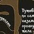 Кайя Норденген Мозг всемогущий Путеводитель по самому незаменимому органу нашего тела