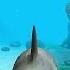 Jaws Unleashed Gameplay PS2 HD 720P