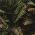 The Oddness Jungle Stories DIBIDADO Remix