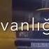 Cavanliq Ela Seydi Shorts Buölkədəyoutube Azelow