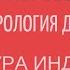КУЛЬТУРА ИНДЕЙЦЕВ ЗАСЕЛЕНИЕ АМЕРИКИ ОЛЬМЕКИ ТЕОТИУАКАН ТОЛЬТЕКИ Лекции по культурологии