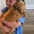 Little Girl Sobs As She Holds Her New Puppy Humankind Shorts